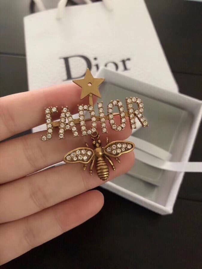 Fake Chr1st1an D10r Logo Brooch