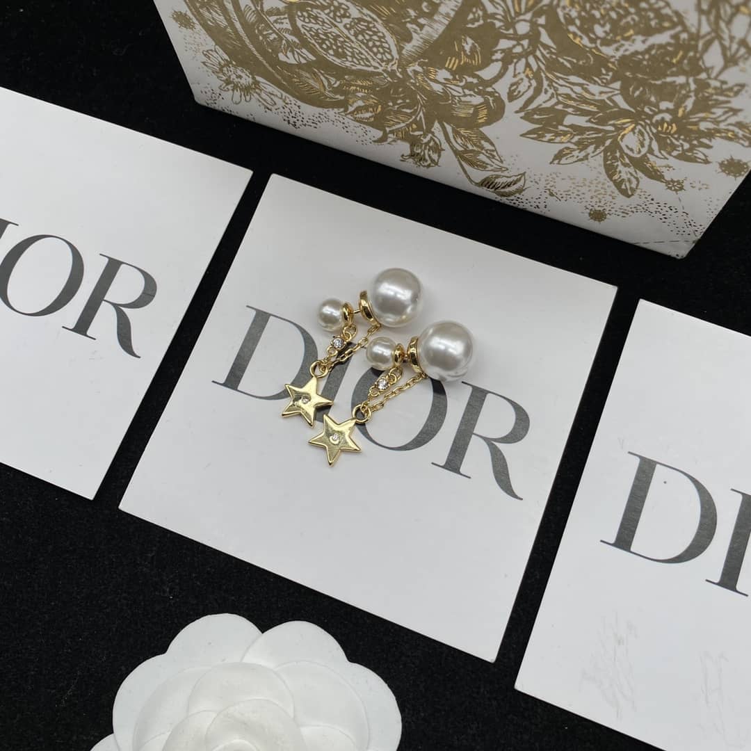 Fake Chr1st1an D10r Logo Earring
