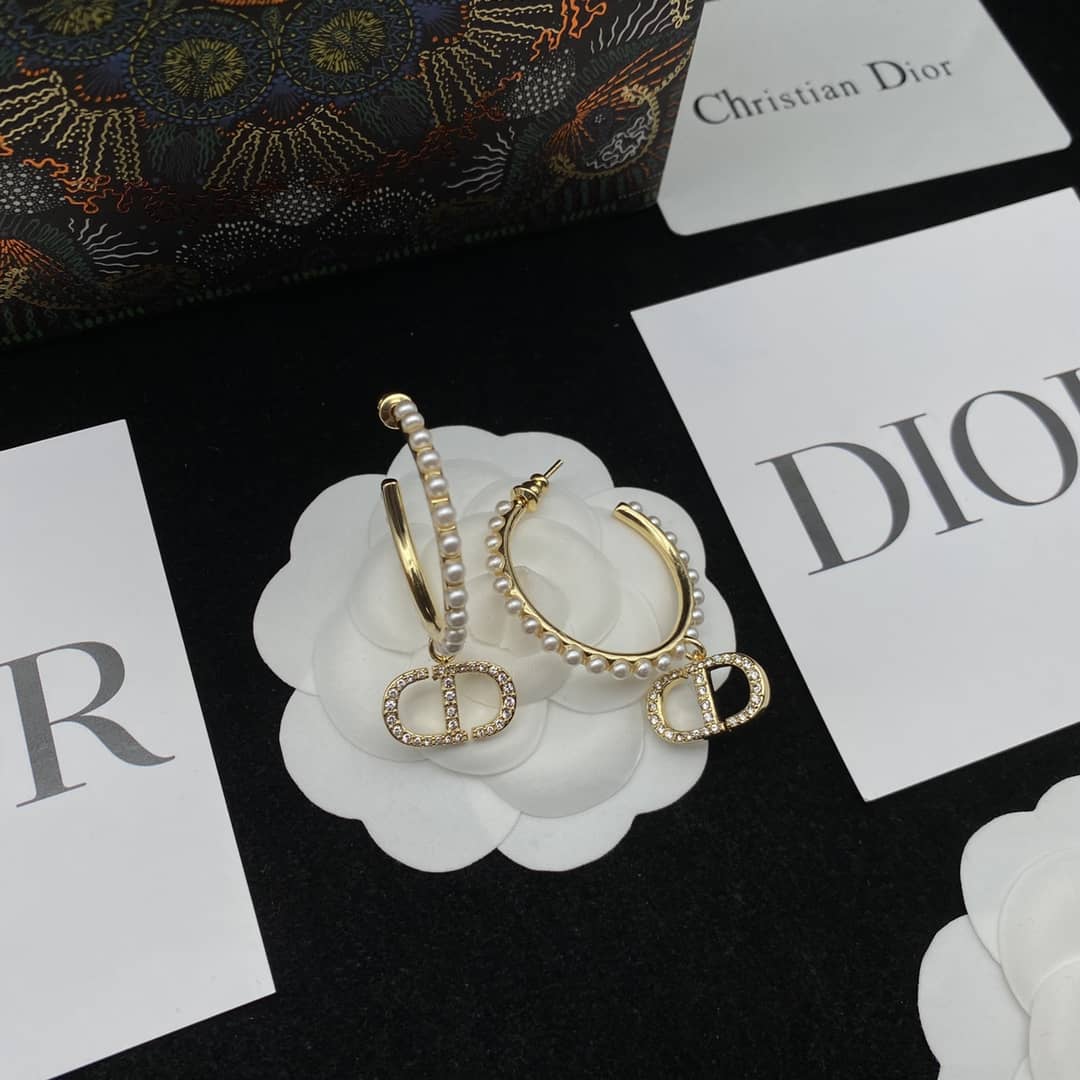 Fake Chr1st1an D10r Logo Earring