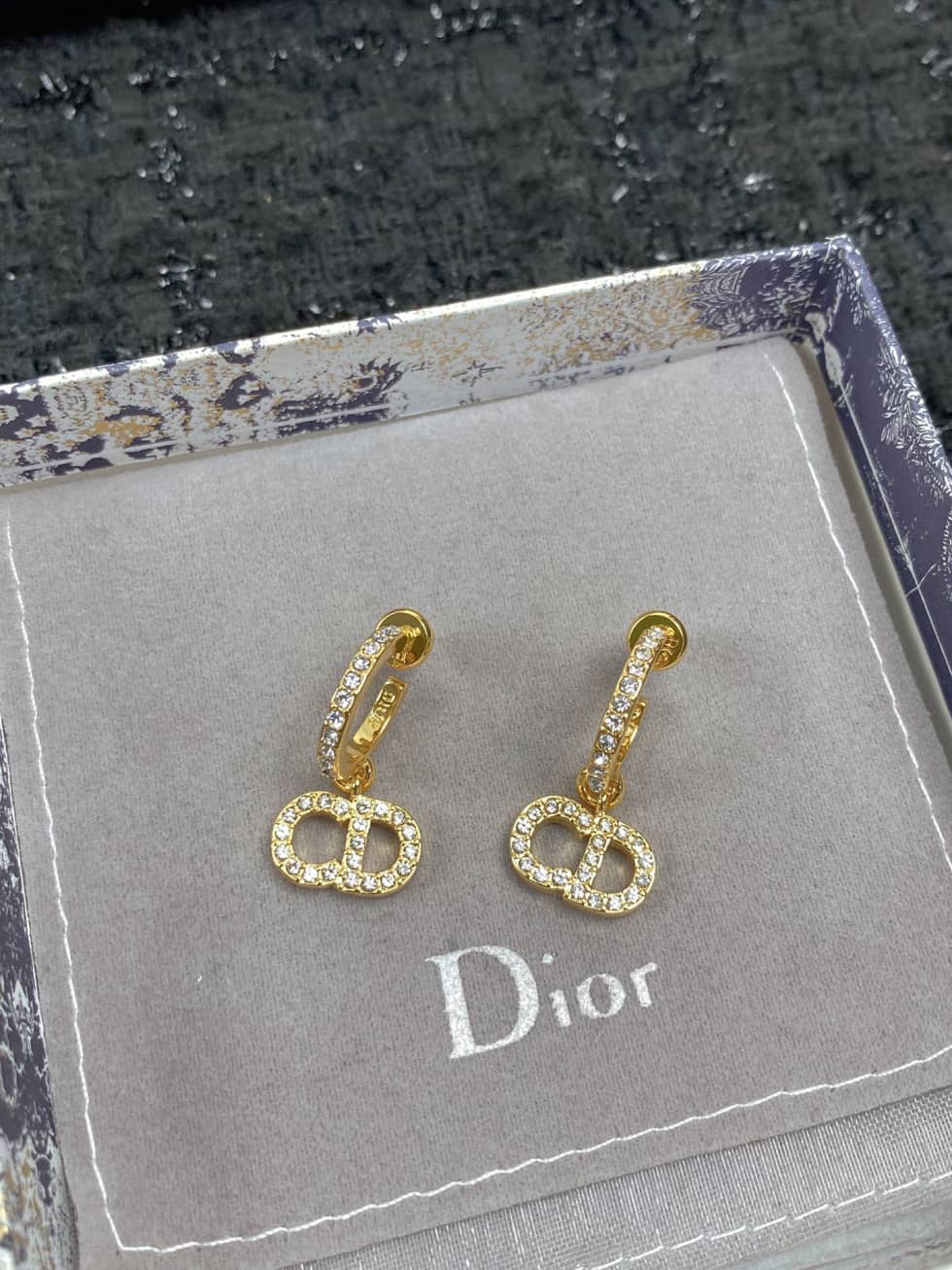 Wholesale Chr1st1an D10r AAA+ Earring