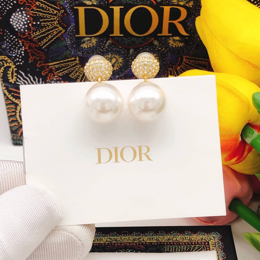 Fake Chr1st1an D10r Logo Earring