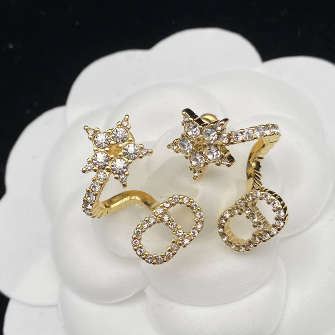 Fake Chr1st1an D10r Logo Earring
