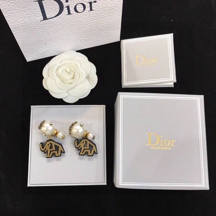 Luxury Chr1st1an D10r Classic AAA+ Earring