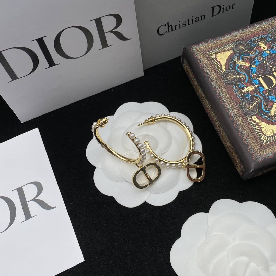 Fake Chr1st1an D10r Logo Earring