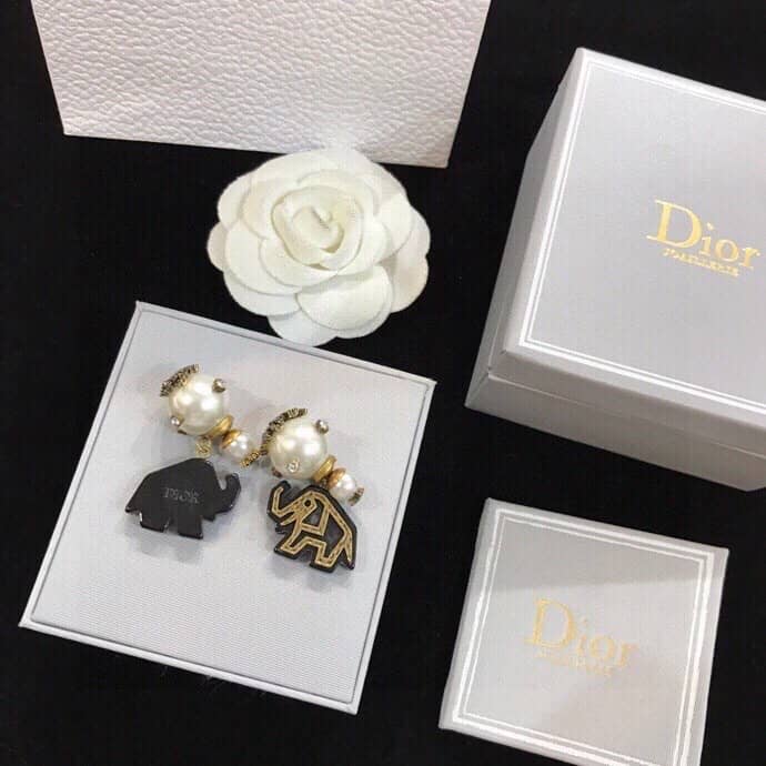 Luxury Chr1st1an D10r Classic AAA+ Earring