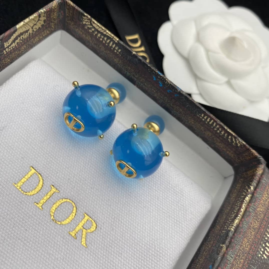 Wholesale Chr1st1an D10r Logo Earring