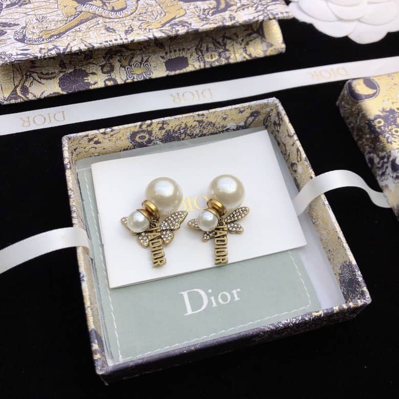 Fake Chr1st1an D10r Logo Earring