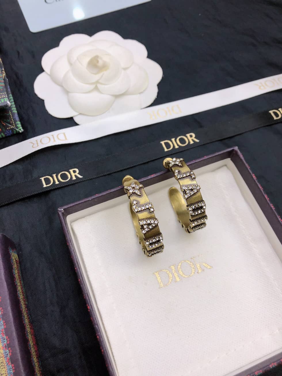 Wholesale Chr1st1an D10r AAA+ Earring