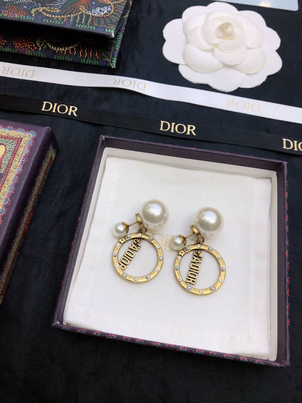 Luxury Chr1st1an D10r Classic AAA+ Earring