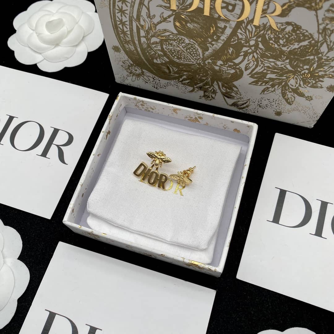 Fake Chr1st1an D10r Logo Earring