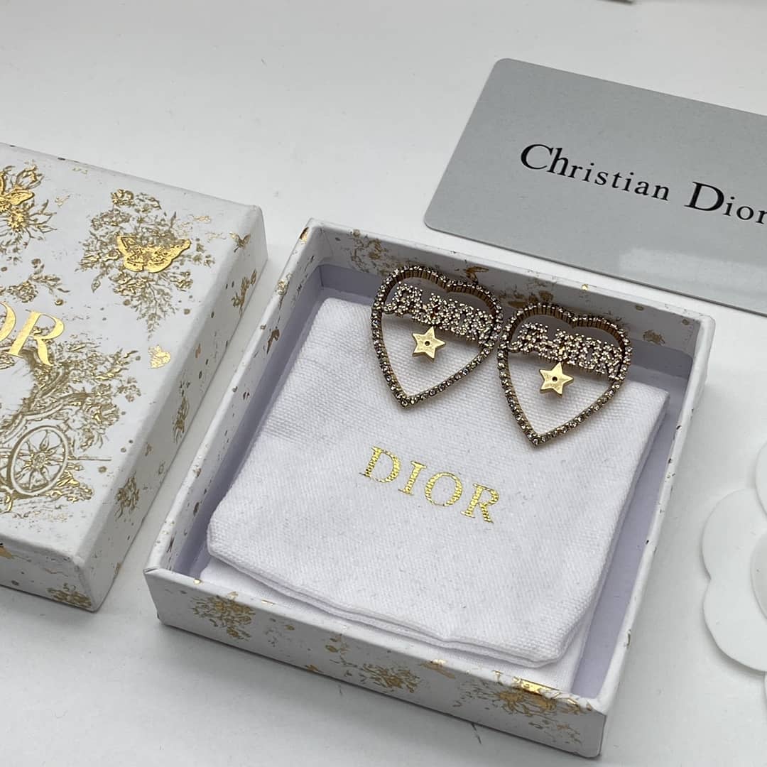 Fake Chr1st1an D10r Logo Earring