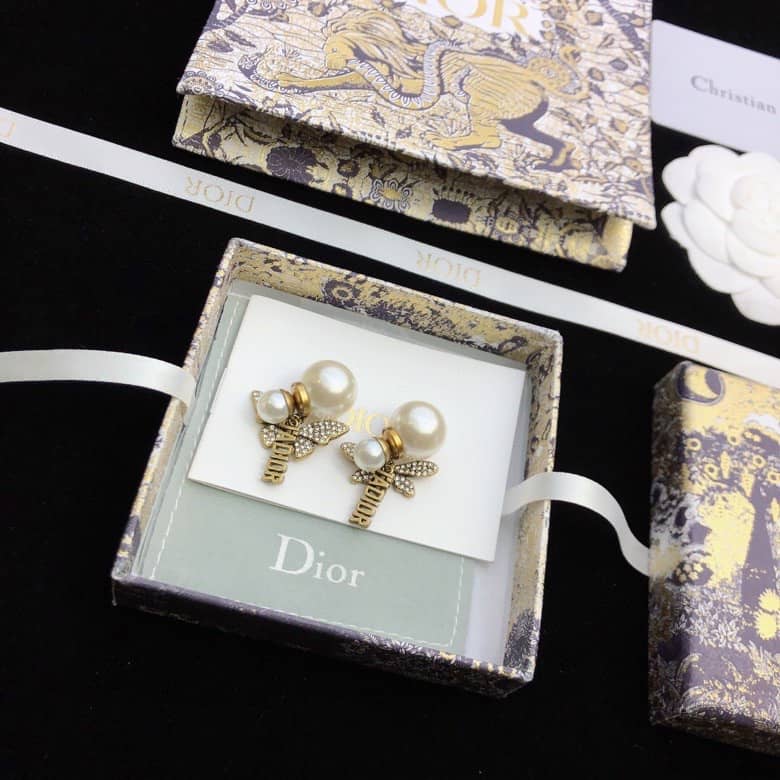 Fake Chr1st1an D10r Logo Earring