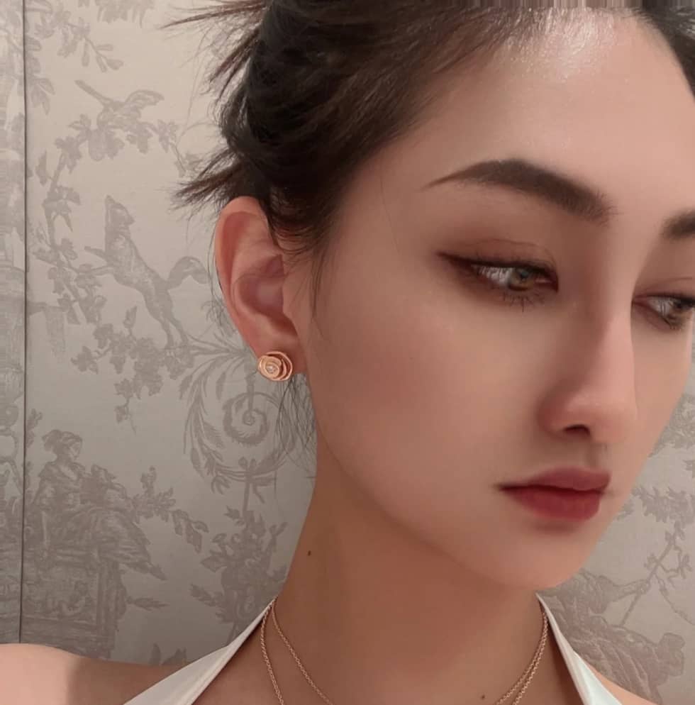 Chr1st1an D10r Earring Copy