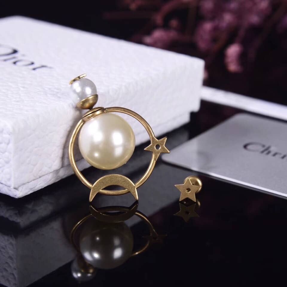 Chr1st1an D10r Earring Copy