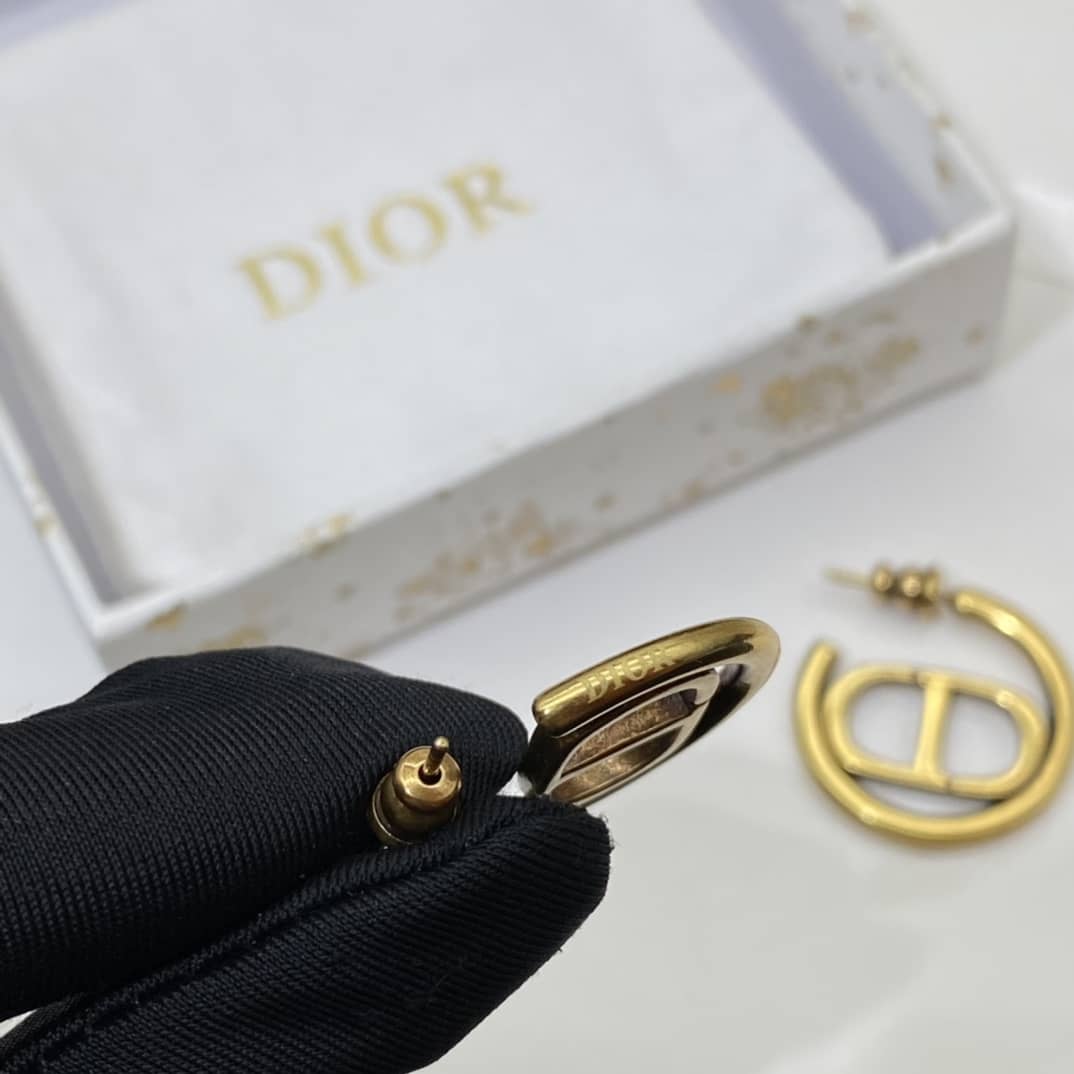 Chr1st1an D10r Earring Copy