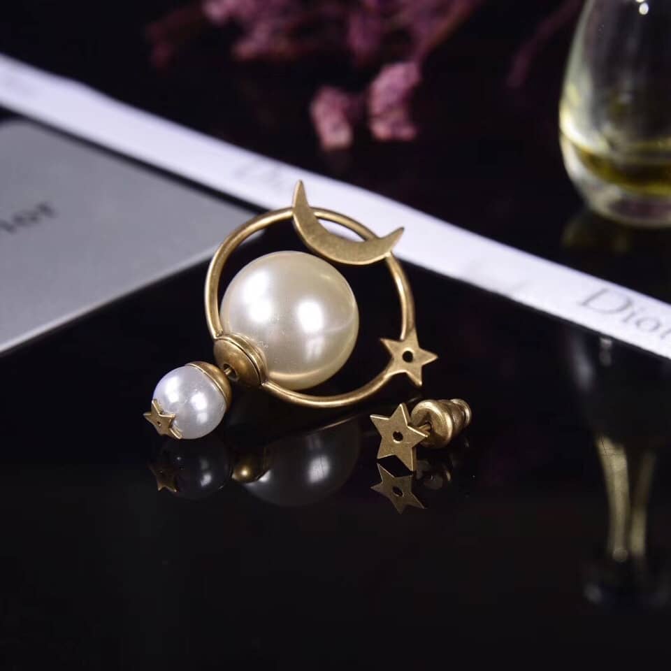Chr1st1an D10r Earring Copy