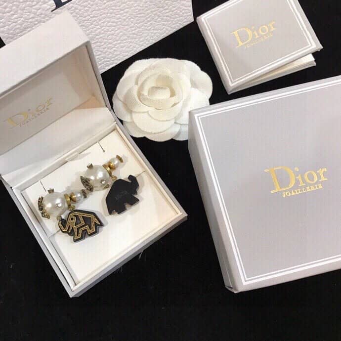 Luxury Chr1st1an D10r Classic AAA+ Earring