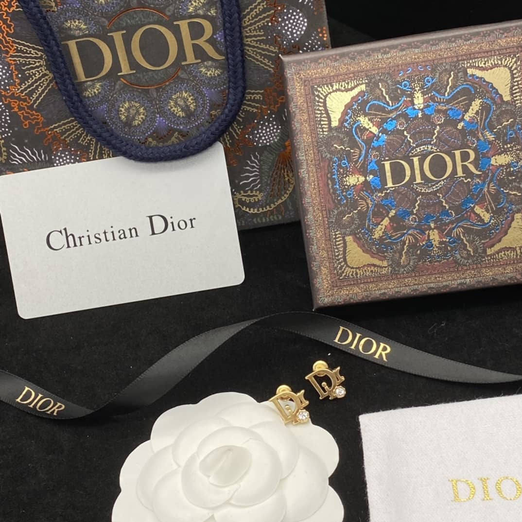 Fake Chr1st1an D10r Logo Earring
