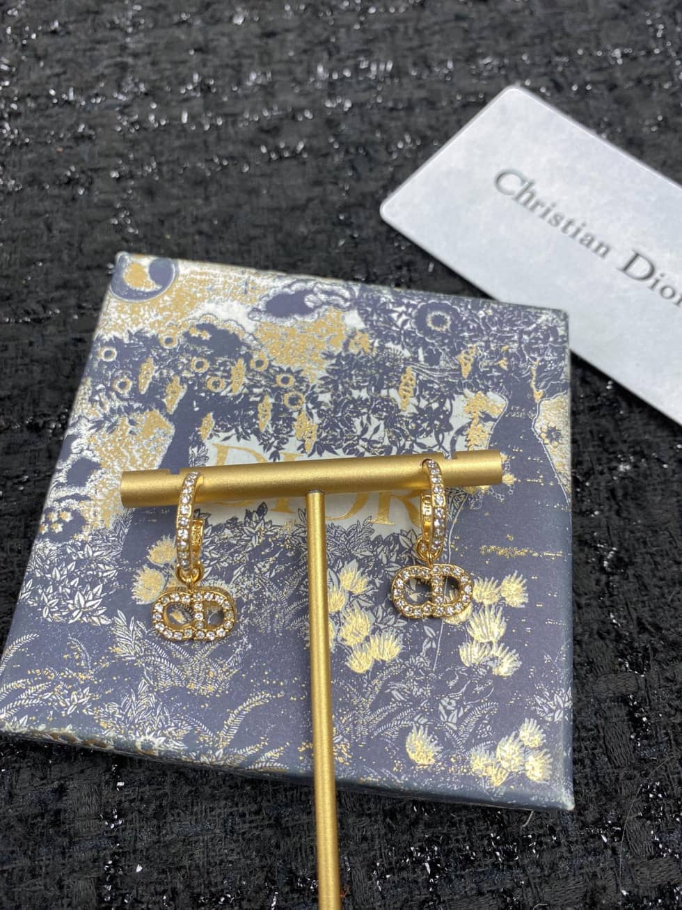 Wholesale Chr1st1an D10r AAA+ Earring