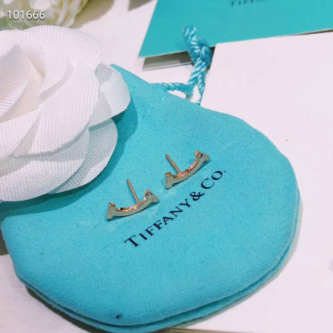 Luxury T*f*ny Classic AAA+ Earring