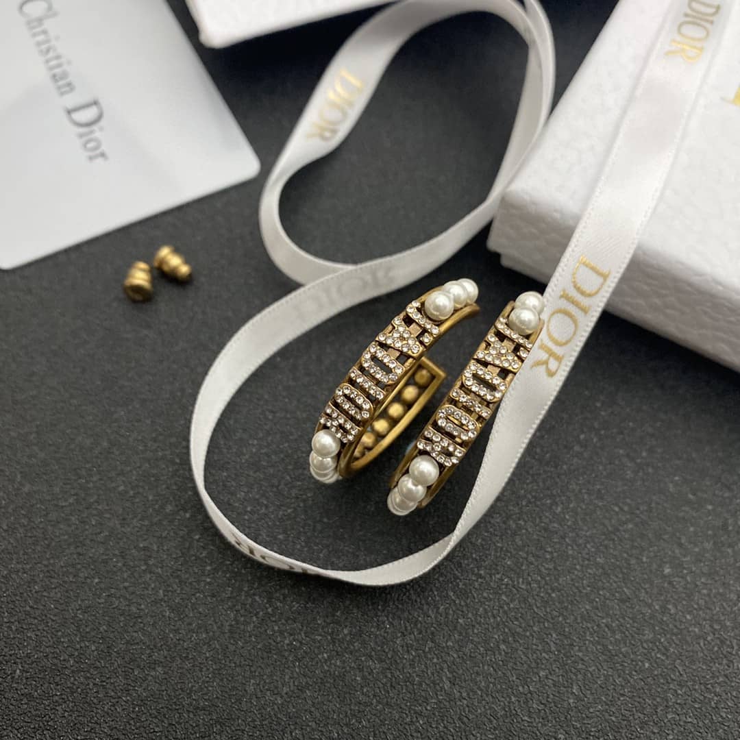Wholesale Chr1st1an D10r Logo Earring