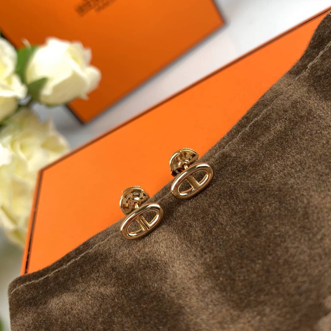 Luxury H**me5 Classic AAA+ Earring
