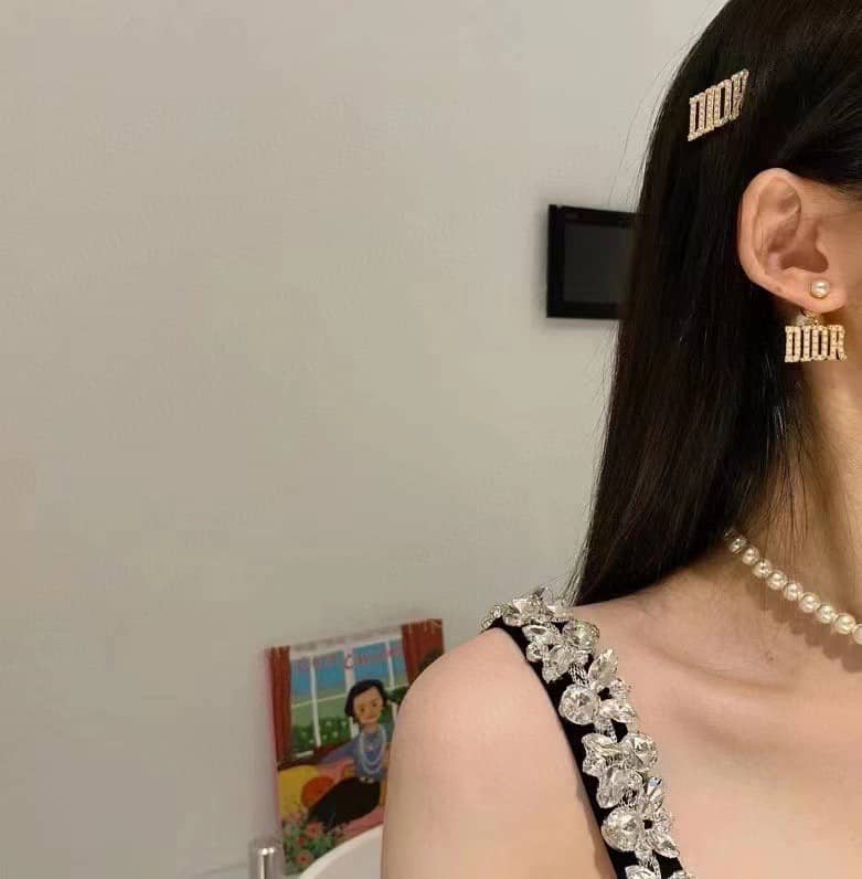 Fake Chr1st1an D10r Logo Earring