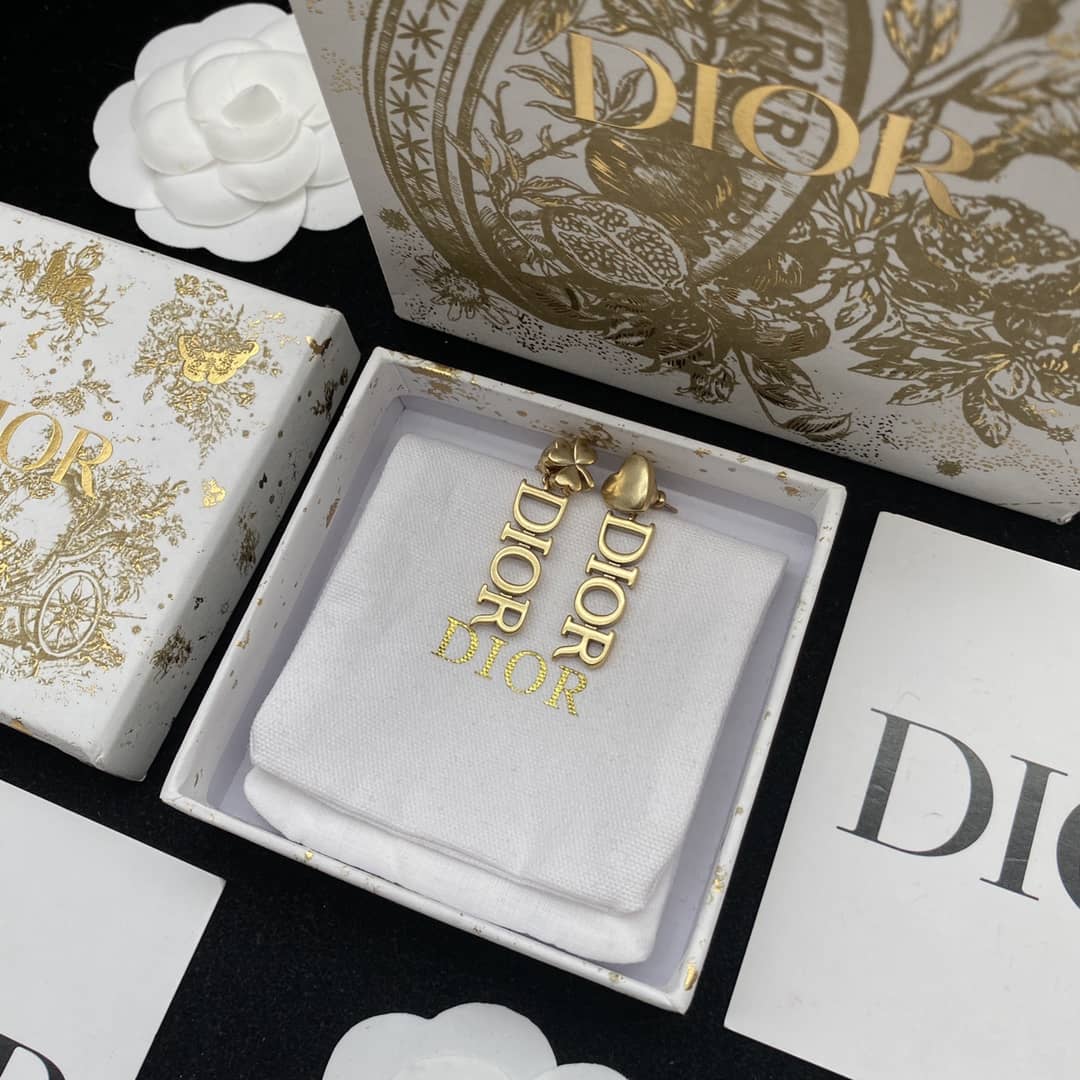 Wholesale Chr1st1an D10r Logo Earring