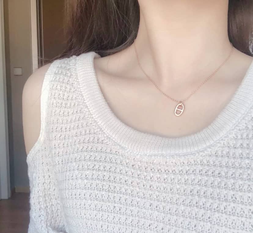 Luxury H**me5 Classic AAA+ Necklace