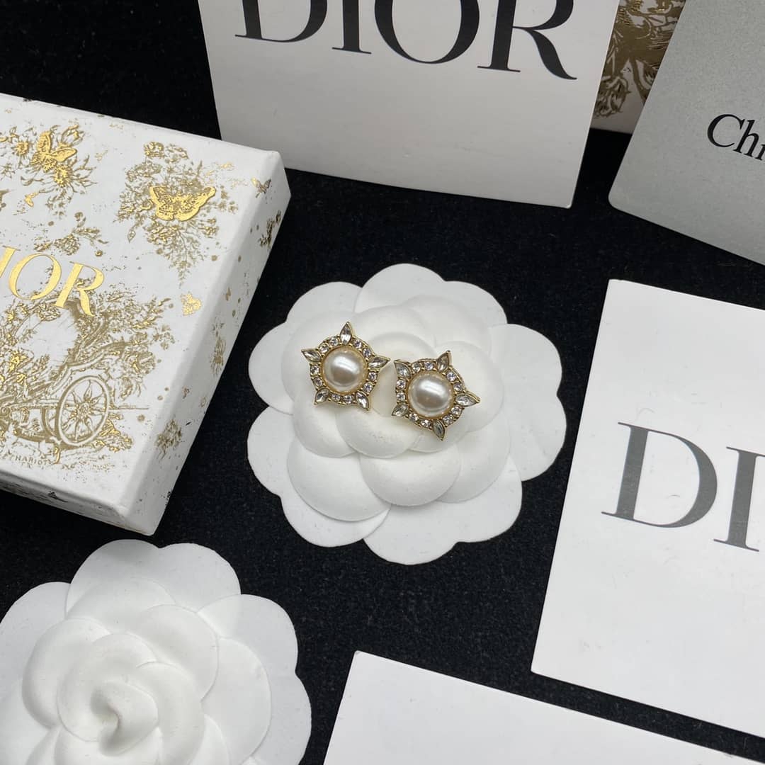 Luxury Chr1st1an D10r Classic AAA+ Earring