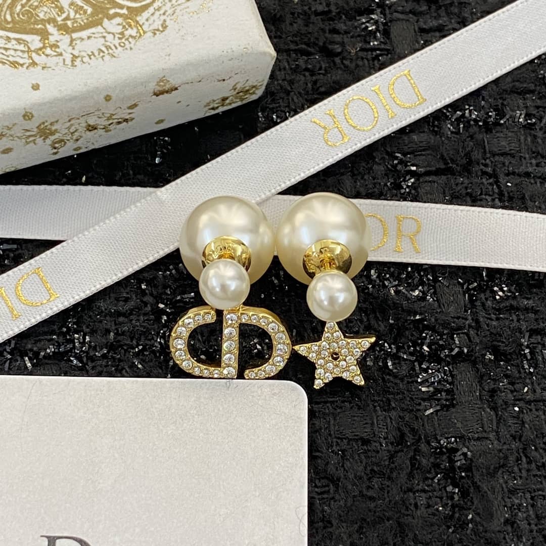 Fake Chr1st1an D10r Logo Earring