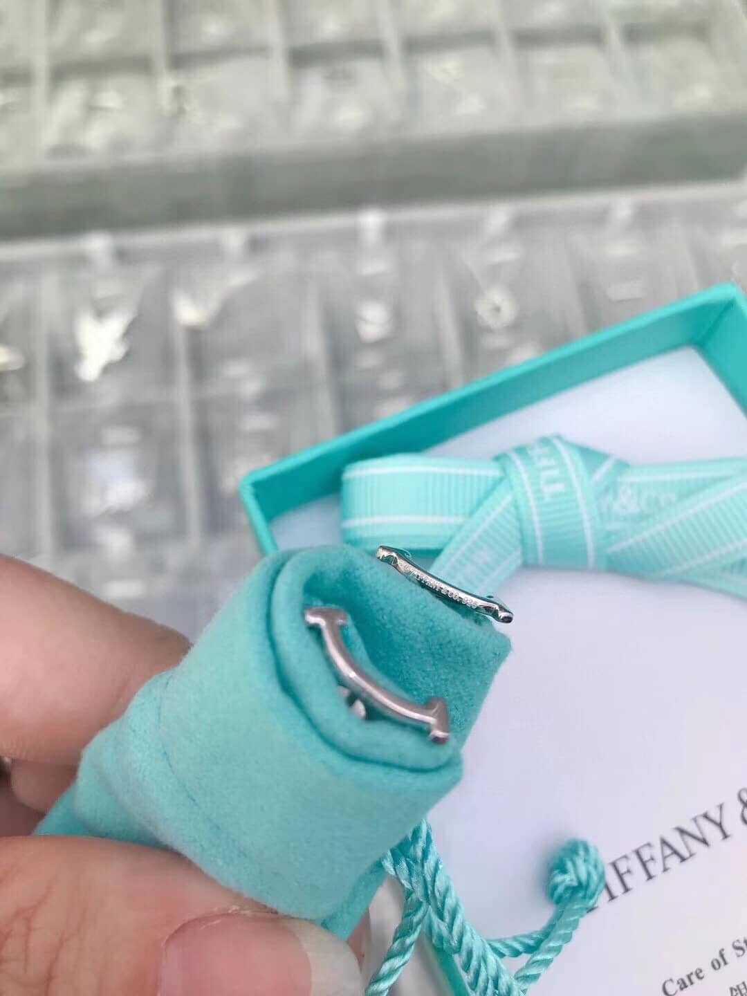 Luxury T*f*ny Classic AAA+ Earring