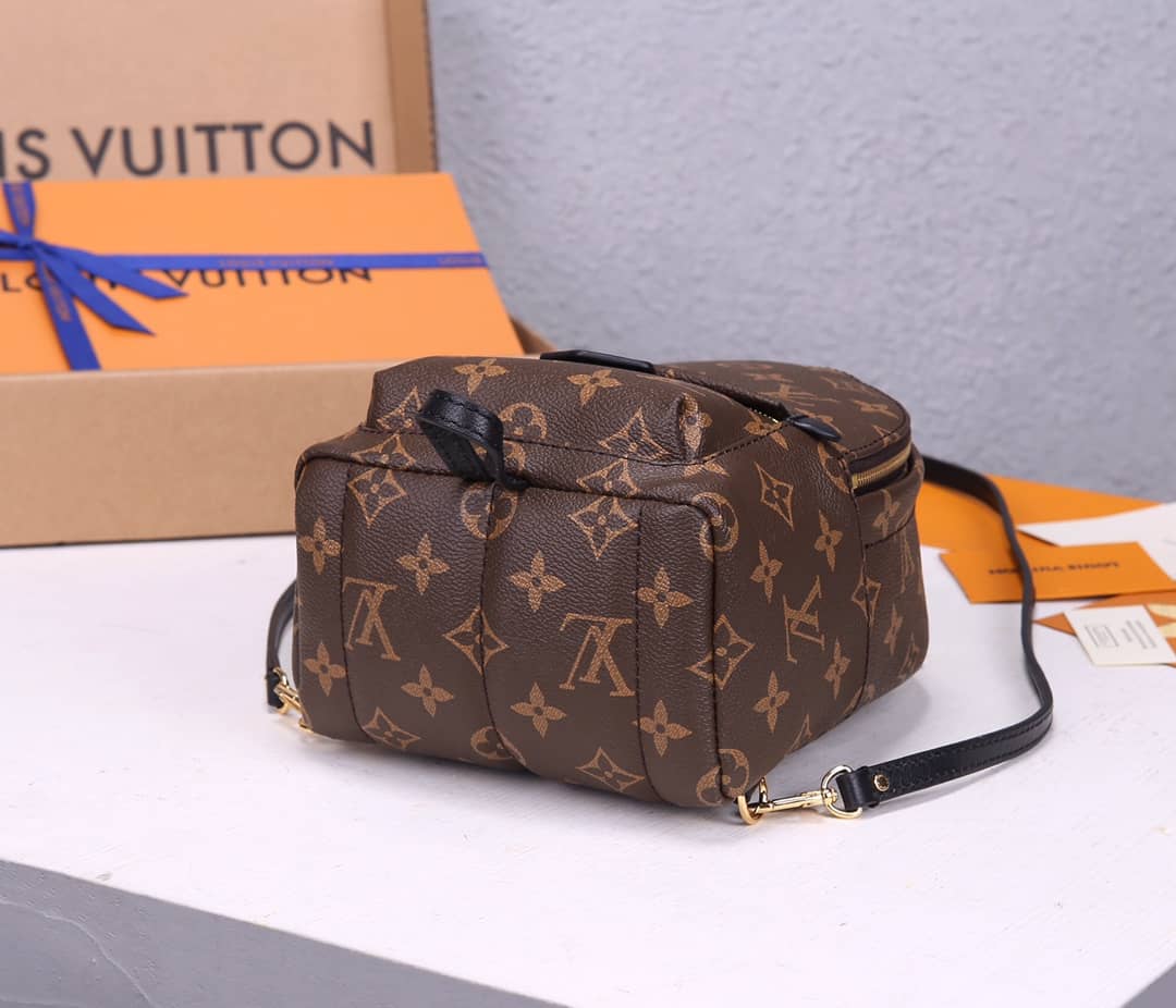 LV Backpack Replica Palm Springs Mini Brown M44873