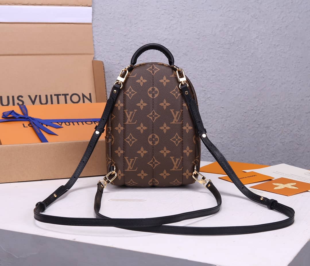 LV Backpack Replica Palm Springs Mini Brown M44873
