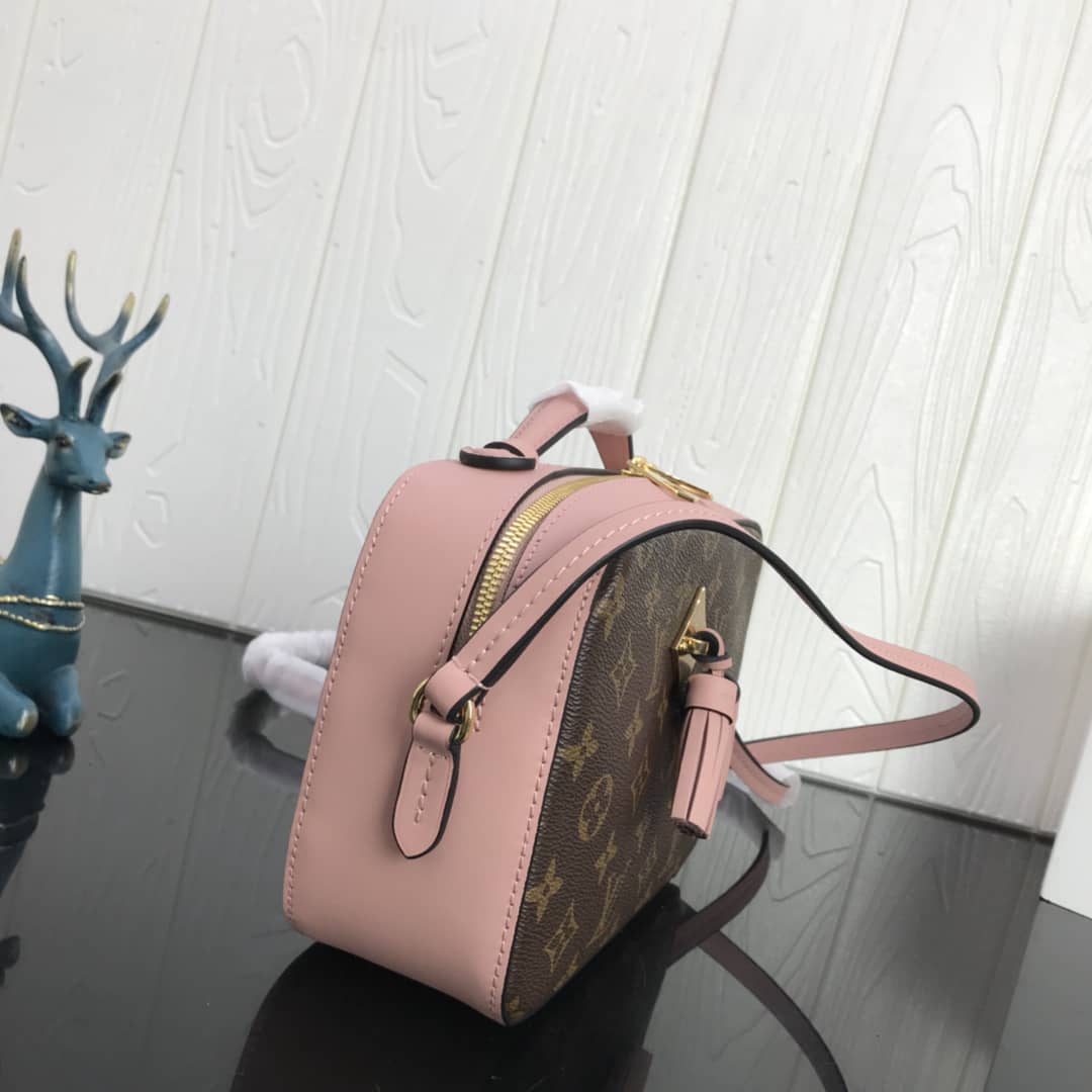 L0vis Vvtt0n Canvas Saintonge Replica Camera Bag Pink M43555