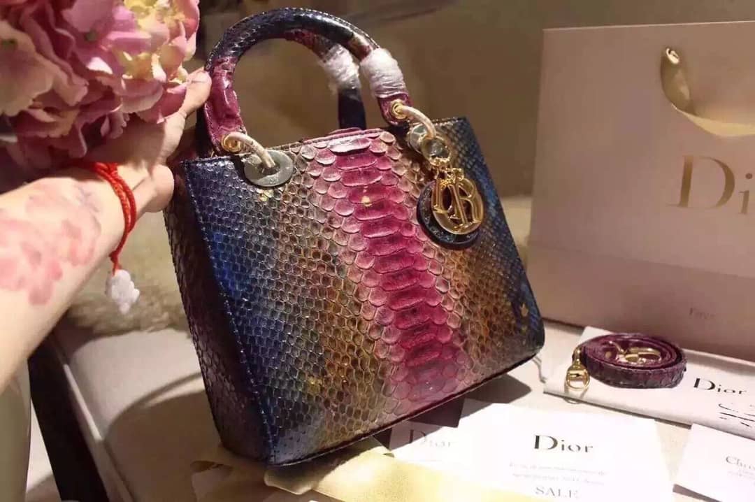 Chr1st1an D10r Lady D10r 24CM Replica Bag