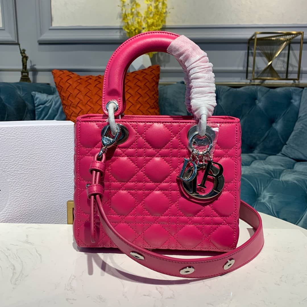 Chr1st1an D10r Lady D10r 20CM Replica Bag