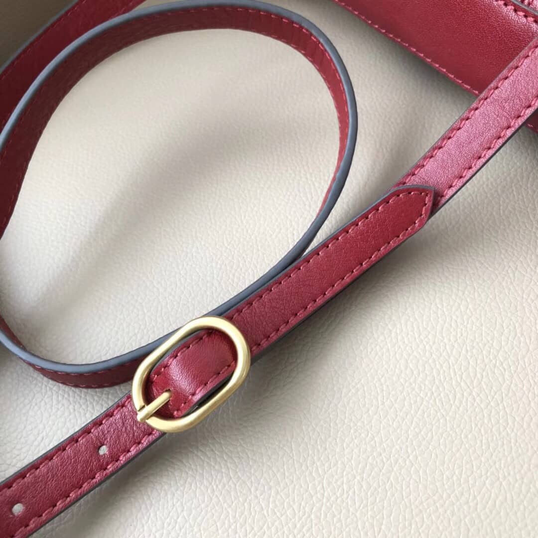 Gvc*1 Belle Marmont Feline Small Crossbody Bag Replica Red 524620
