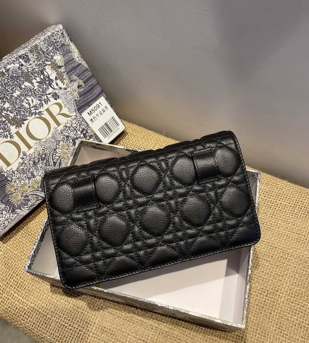 Chr1st1an D10r Caro Chain Belt Replica Pouch