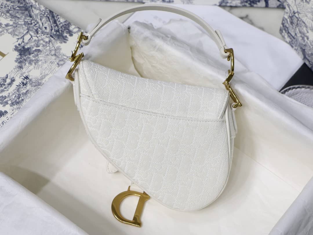 D10r Dupe Saddle Bag