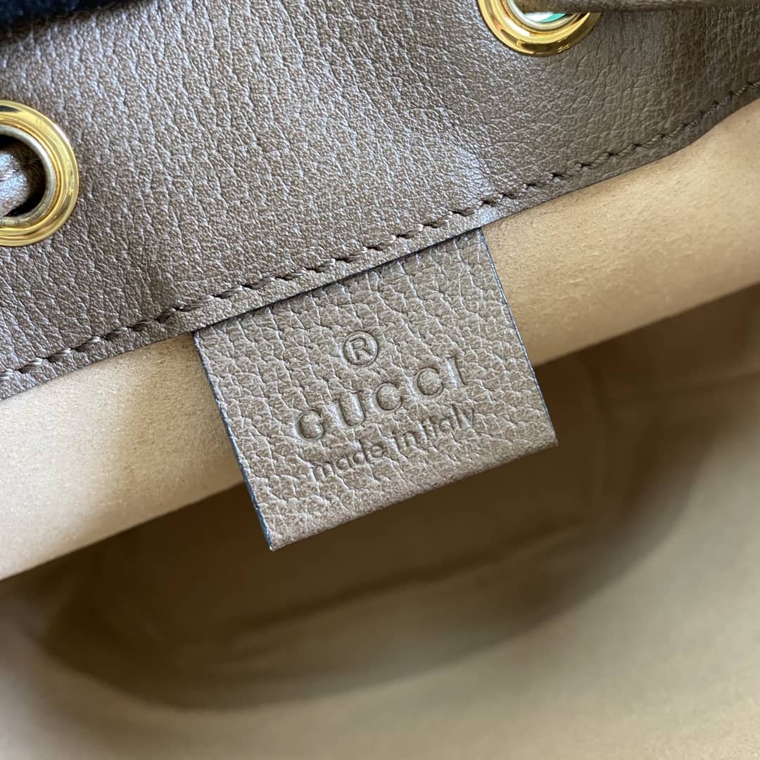 Gvc*1 GG Ophidia Mini Bucket Bag Replica 550620