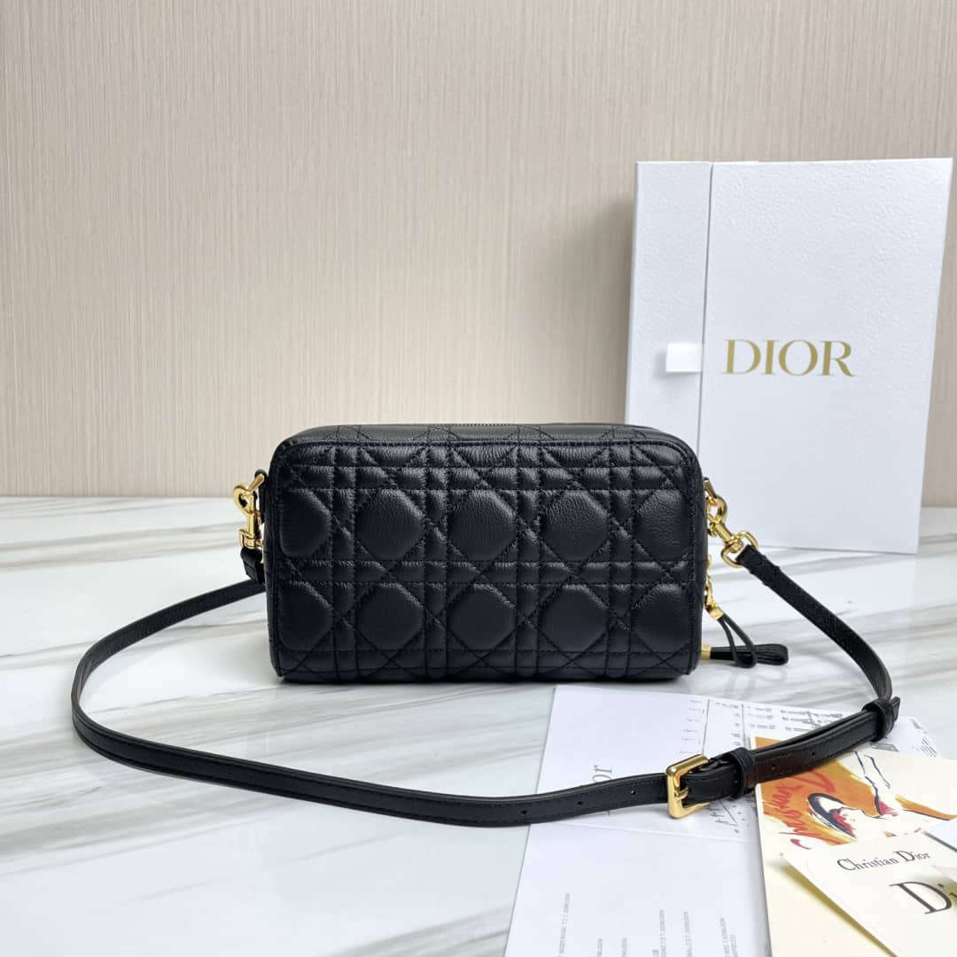 Chr1st1an D10r Caro Double Calfskin Pouch