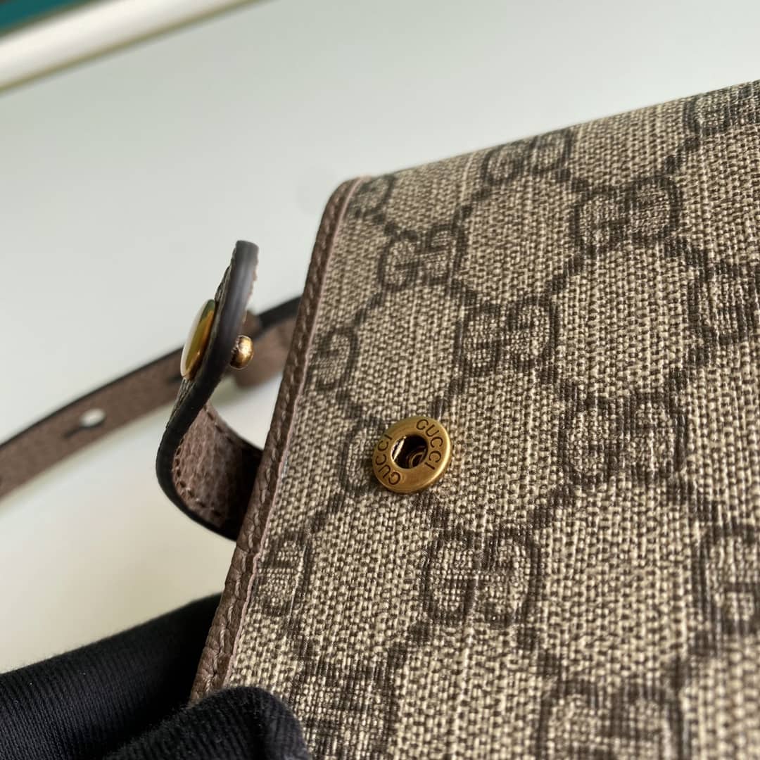 Gvc*1 Ophidia GG Svp*me Fabric Mini Bag 645082
