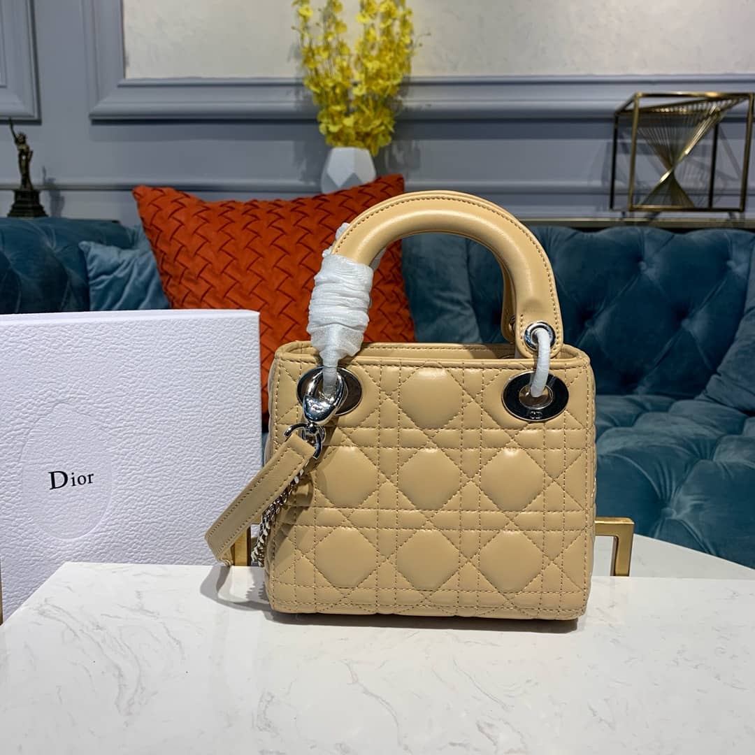 Chr1st1an D10r Lady D10r 17CM Replica Bag
