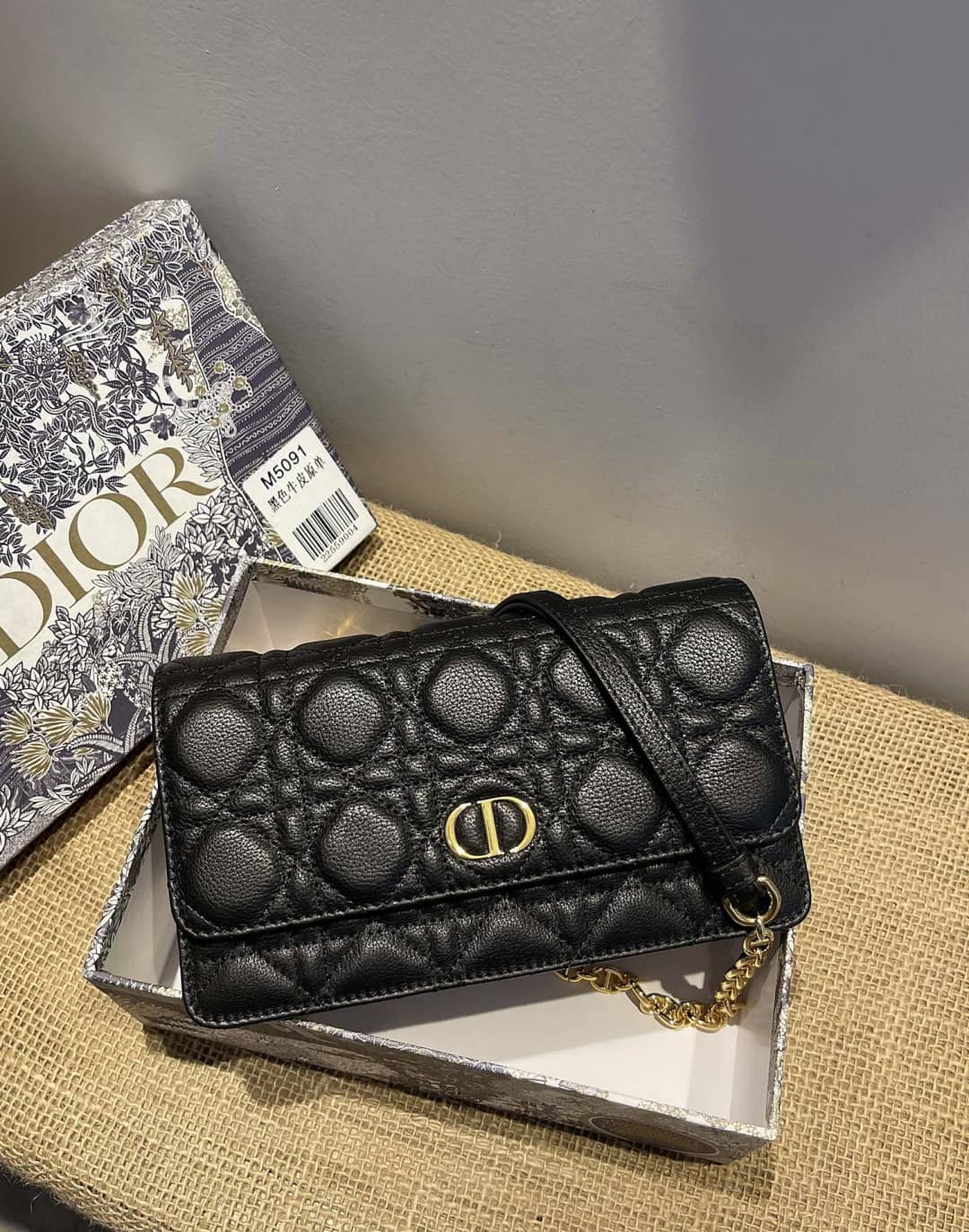 Chr1st1an D10r Caro Chain Belt Replica Pouch