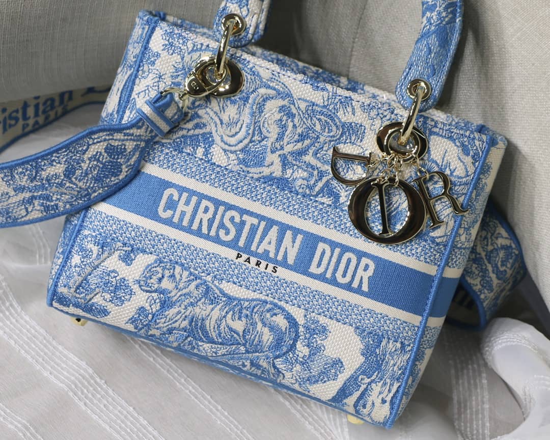 Lady D10r Dupe 24CM Paisley Embroidery Lady D-Lite Bag