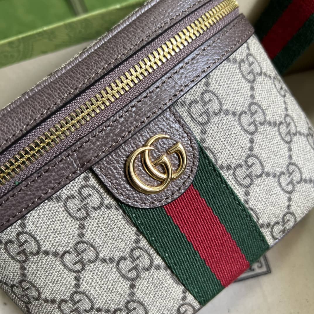 Best Replica Gvc*1 Ophidia With Web 699765 Replica Belt Bag(ColaReps)