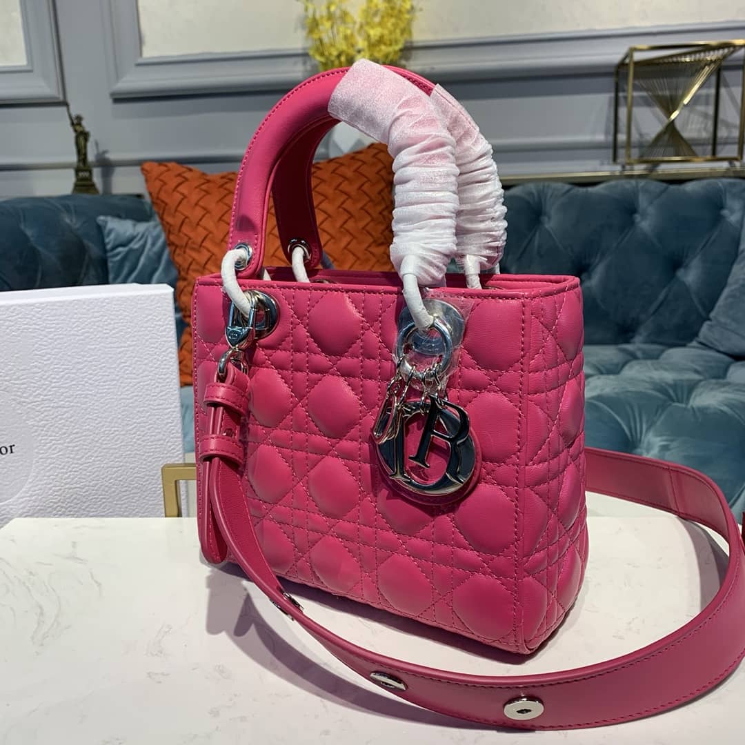 Chr1st1an D10r Lady D10r 20CM Replica Bag