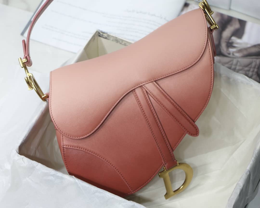 D10r Saddle Bag Dupe 25.5CM