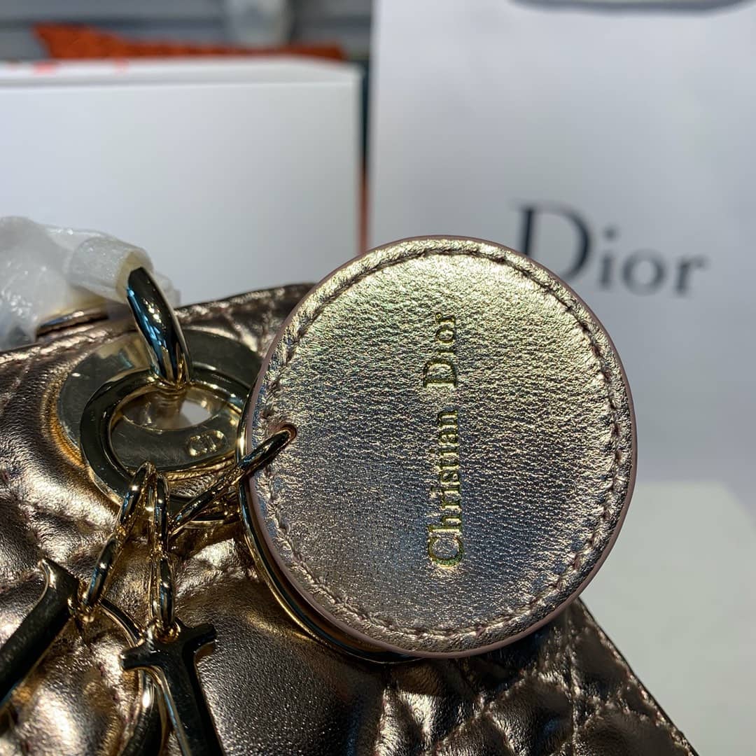 Chr1st1an D10r Lady D10r 20CM Replica Bag